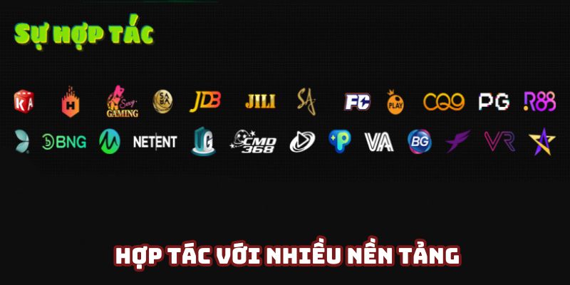 Đẩy mạnh hợp tác với nhiều đơn vị quốc tế hàng đầu