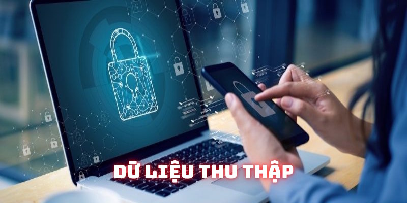 Chính sách bảo mật nêu rõ việc thu thập dữ kiện